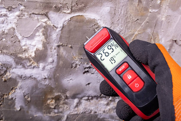 Best Home Mold Removal  in Sonora, TX