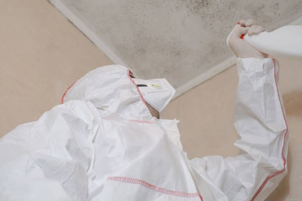 Best Mold Testing  in Sonora, TX